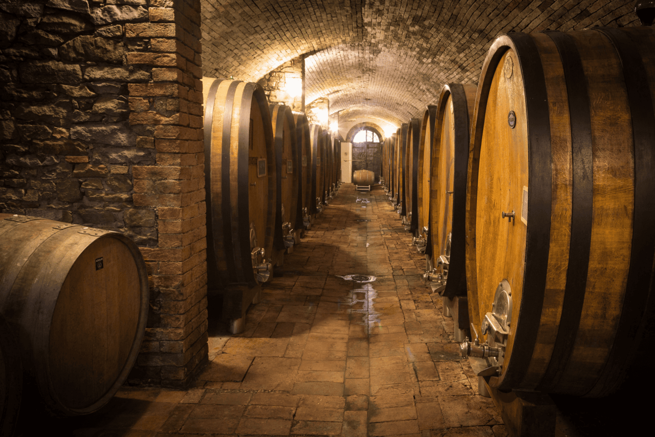 Organic Chianti Classico Tour and Tasting at Fattoria San Michele a Torri