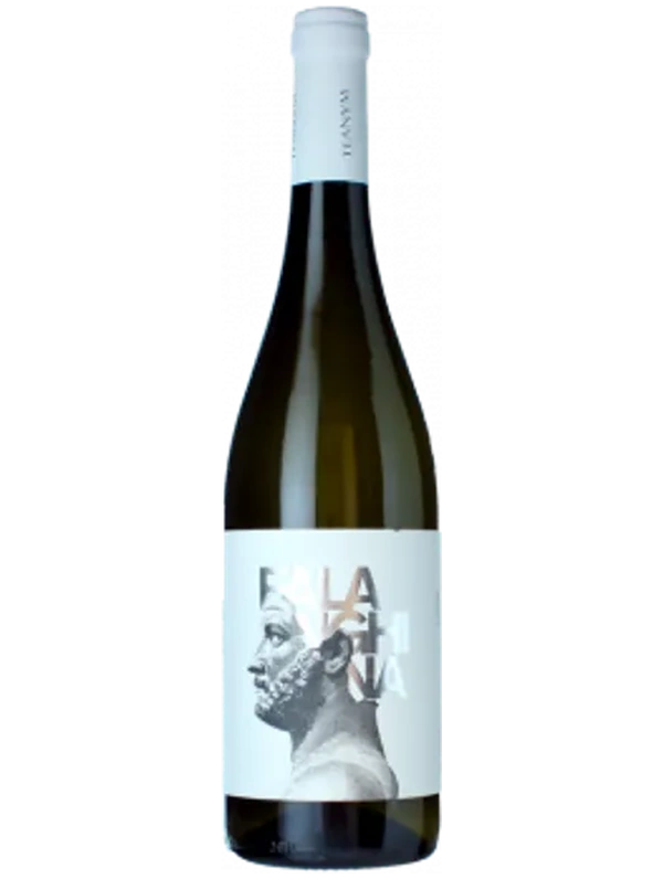 Teanum Favugn&euml; Falanghina Bianco - Cantine Teanum 2025