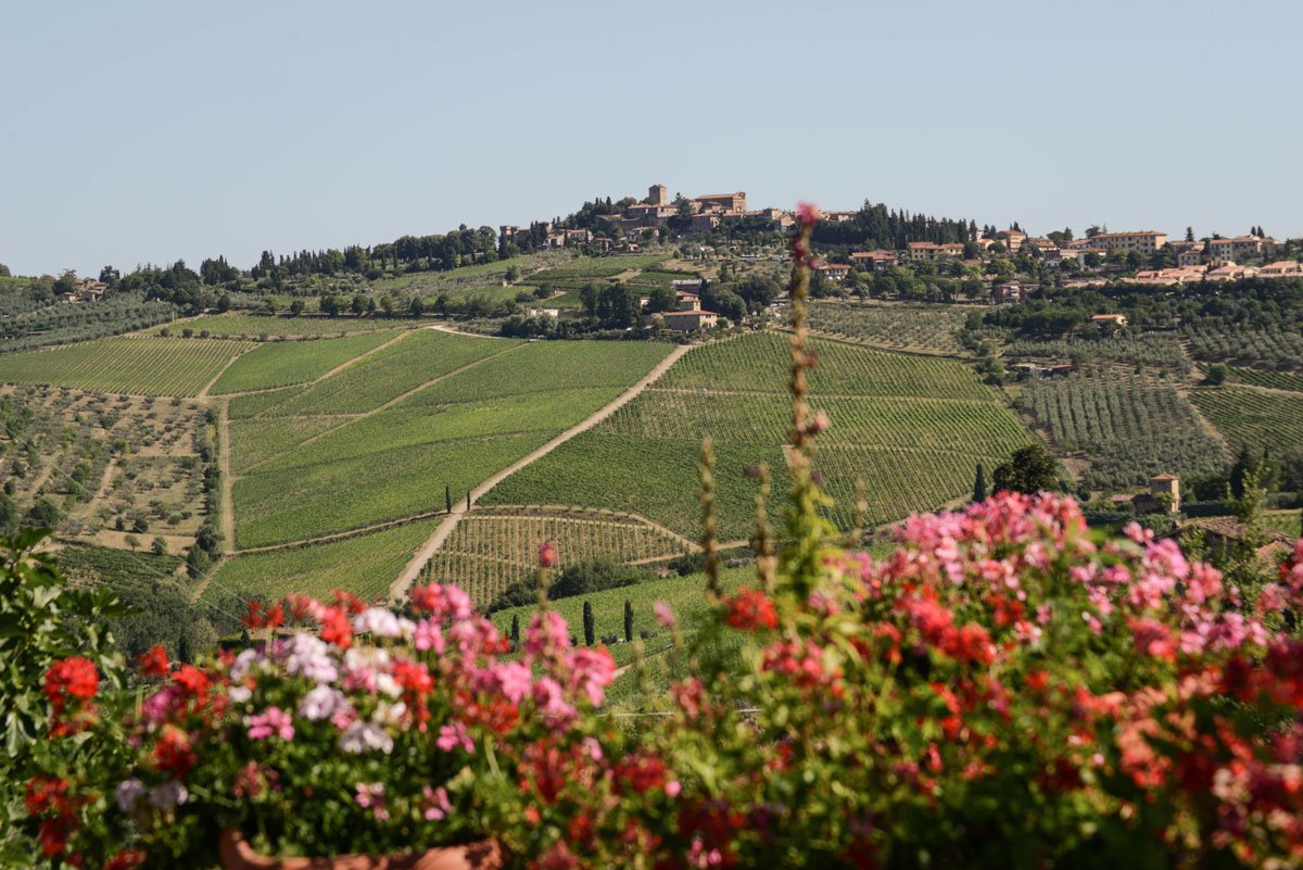 Fontodi winery image 1