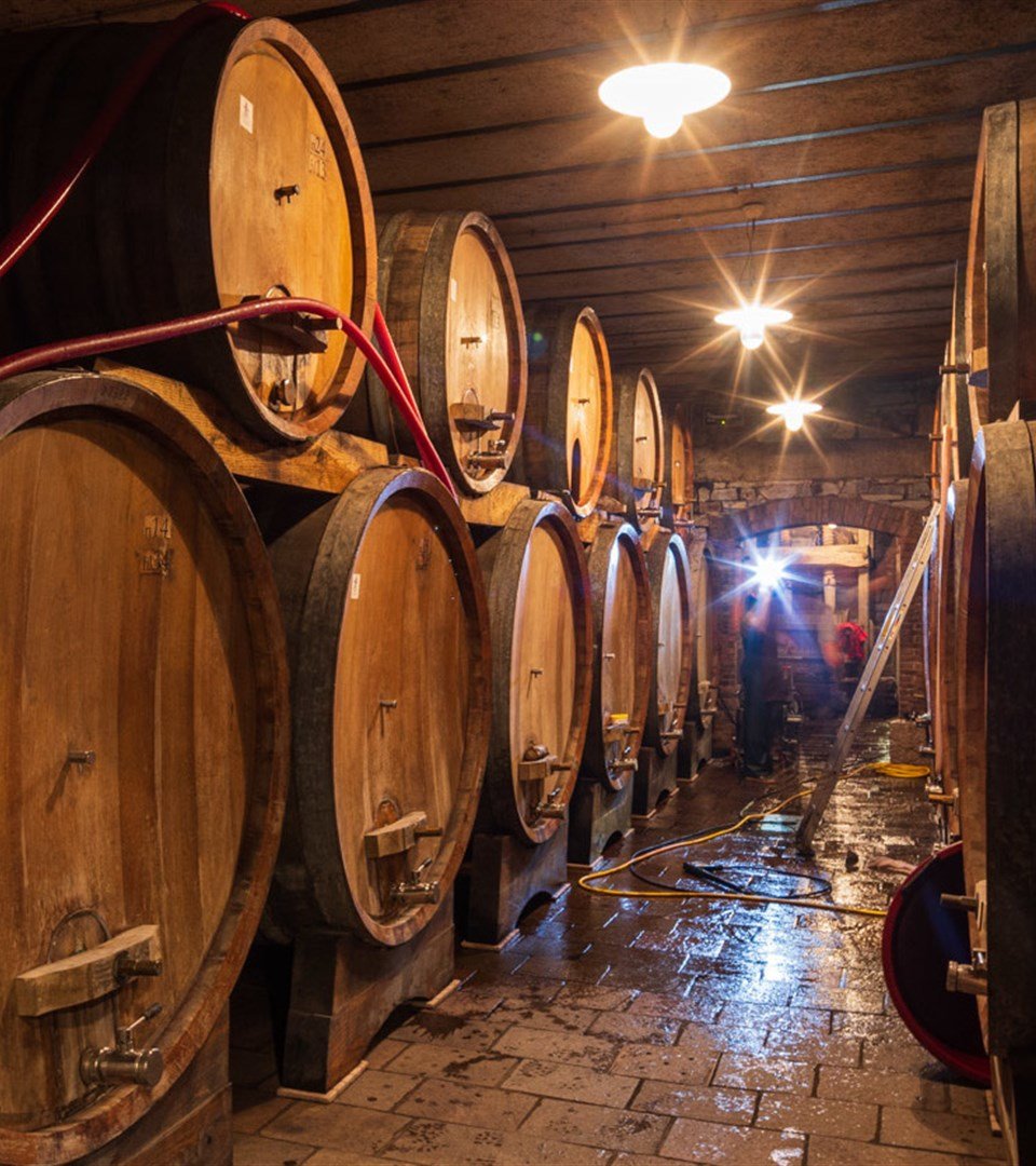 Azienda Agricola Gravner Francesco winery image 3