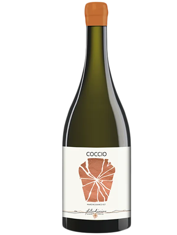 Filodivino  Filodivino Coccio 2022