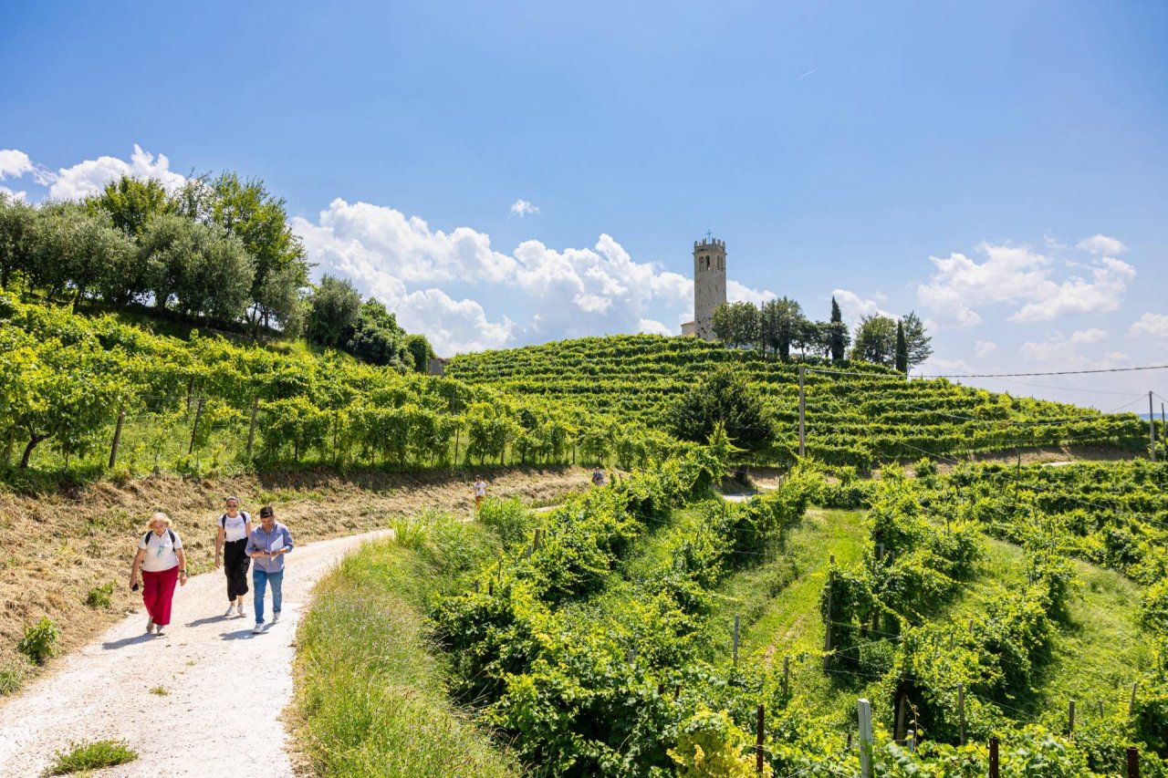 Tasting with a view at Follador