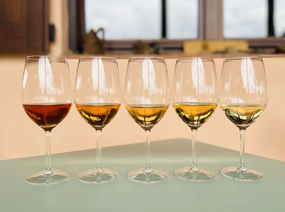 Tasting of Tuscan white wines at Sassotondo Organic Winery in Maremma at Sassotondo