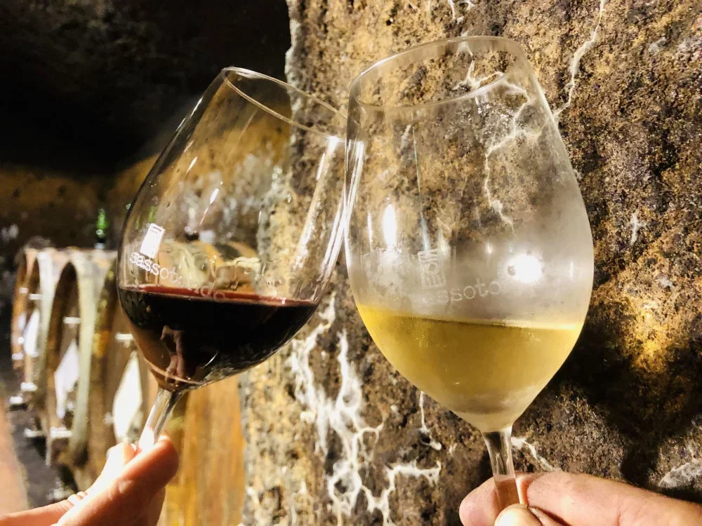 Volcanic Kaos wine experience at Sassotondo Organic Winery in Maremma at Sassotondo