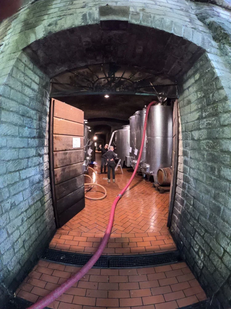 Sassotondo winery image 2