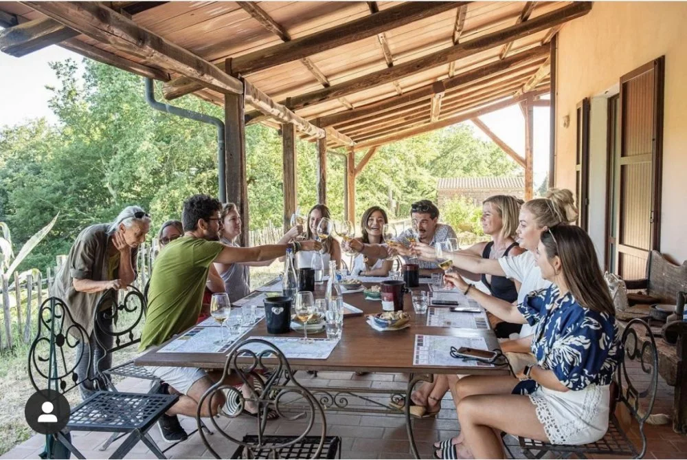 Sassotondo winery image 3