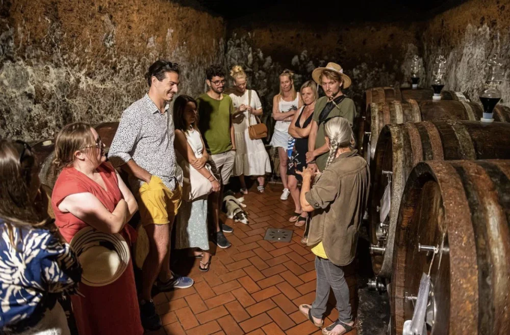 The Sassotondo: Wine Tasting at Sassotondo Organic Winery in Maremma at Sassotondo