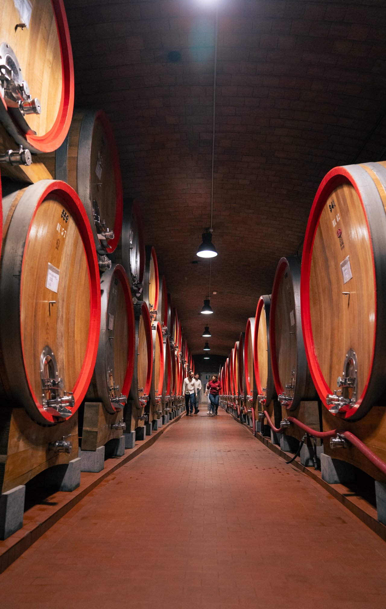 Nino Negri winery image 5