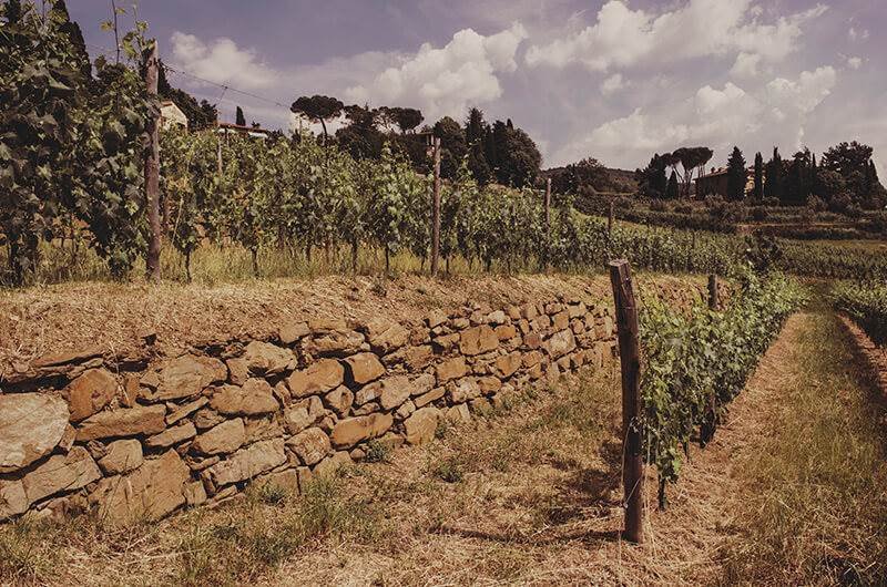 A dry-stone wall holding up a terraced vineyard at Lamole di Lamole, with trees and sky behind