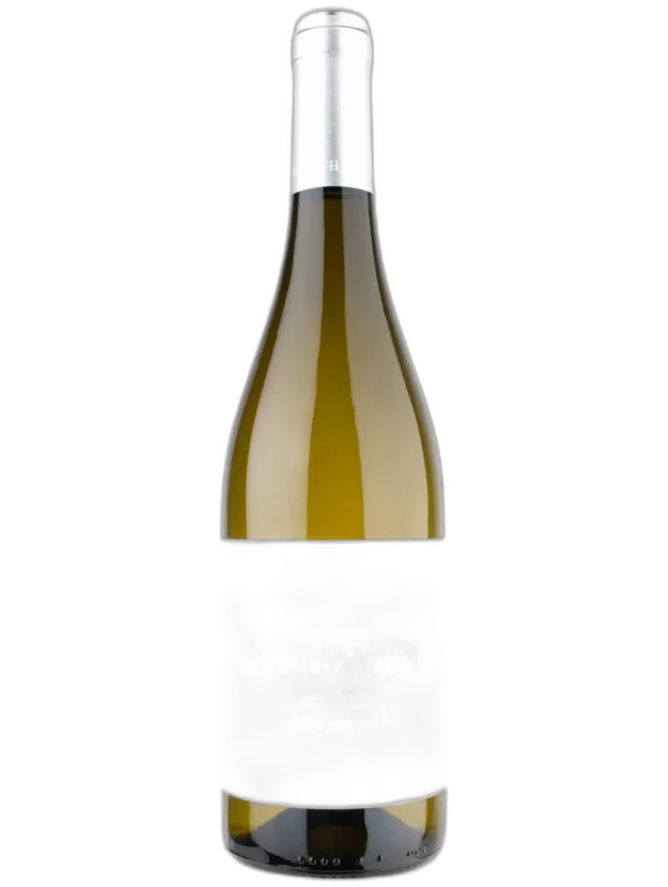 Friuli Colli Orientali DOC Vini Orsone Sauvignon Winery Cantina Bastianich