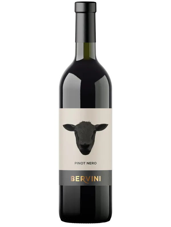 Bervini Friuli DOC Pinot Nero Biologico Bervini 2019