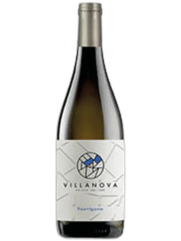 Villanova Friuli Isonzo DOC Sauvignon Villanova 2024