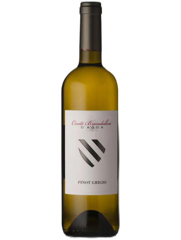 Brandolini Friuli Pinot Grigio Brandolini 2025
