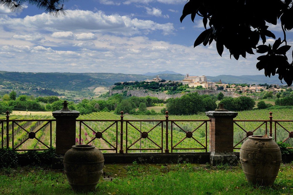 Vineyards below the terrace at Tenuta Le Velette, with Orvieto on its rock beyond
