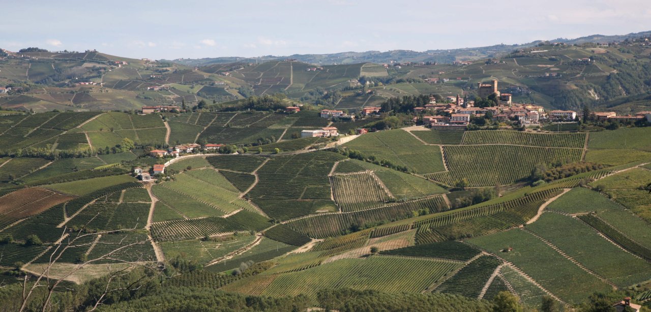 Gaja winery image 5