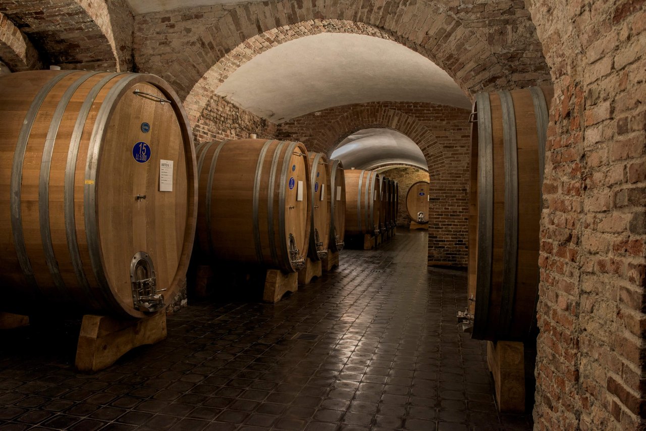Gaja winery image 4