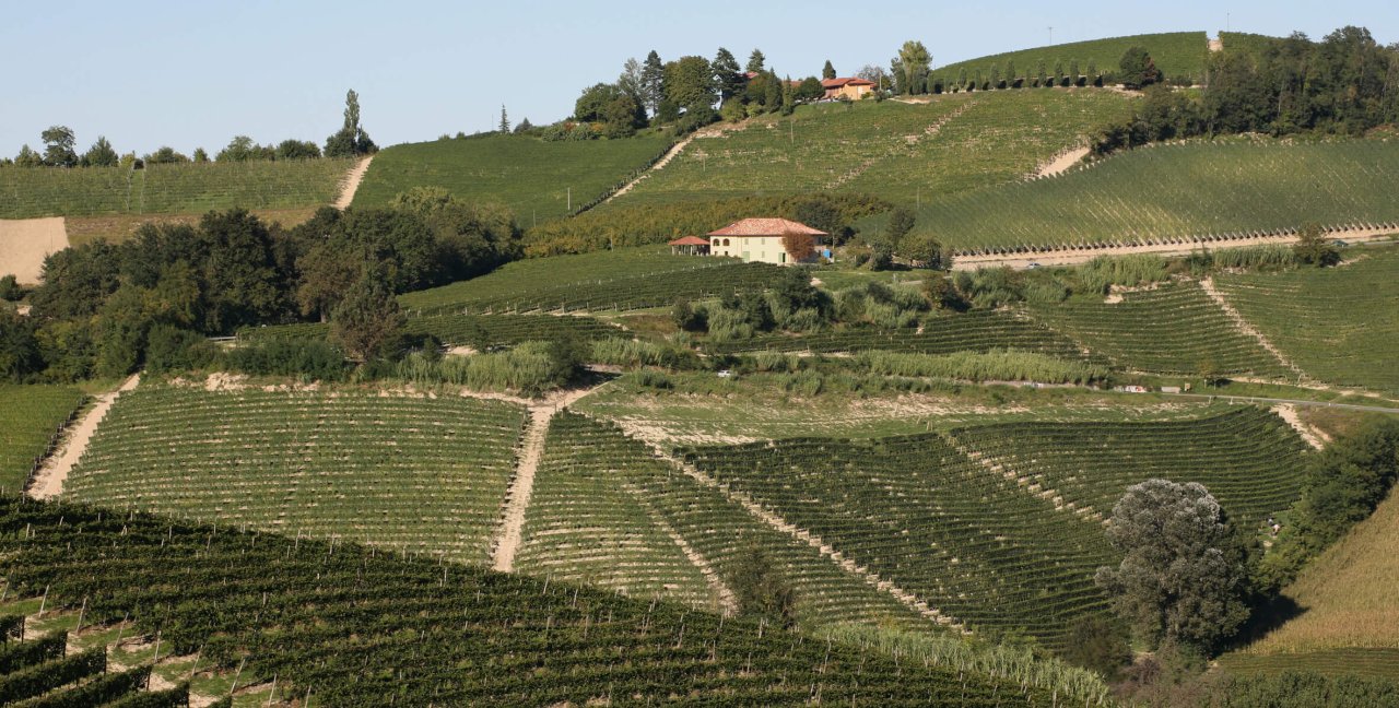 Gaja winery image 2