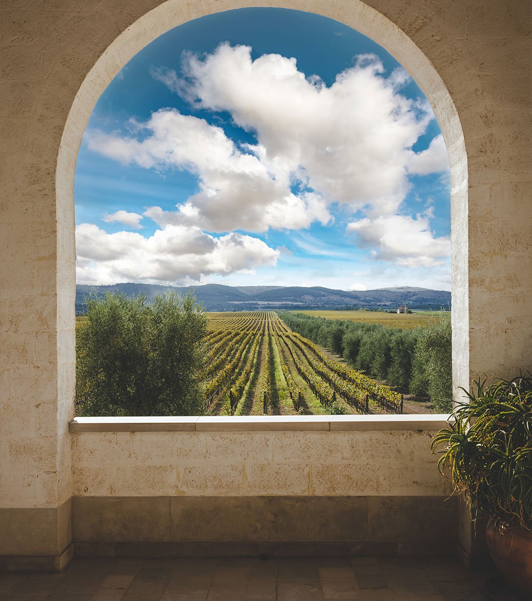 Tormaresca winery image 3