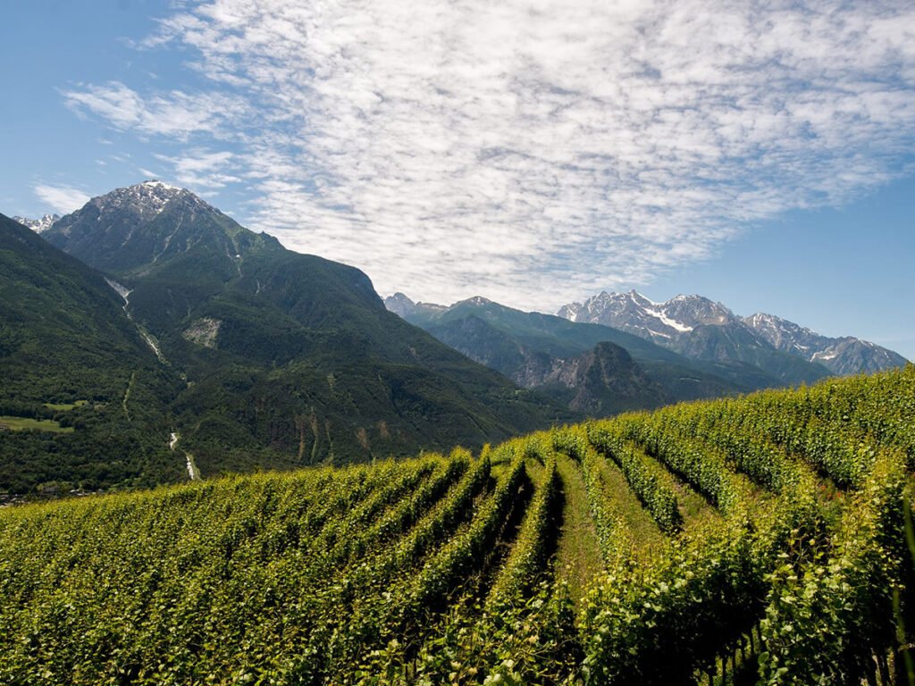 La Crotta di Vegneron winery image 1