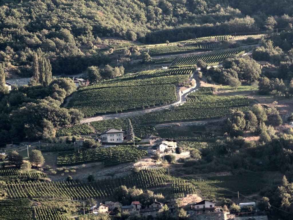 La Crotta di Vegneron winery image 4