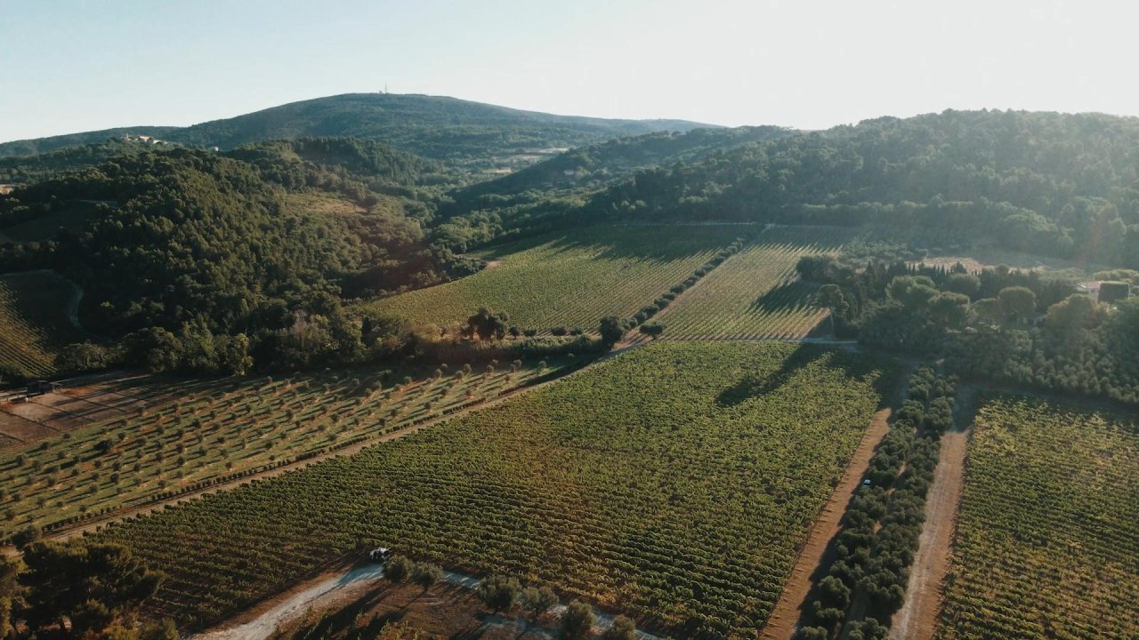 Casa Vinicola Garofoli winery image 1