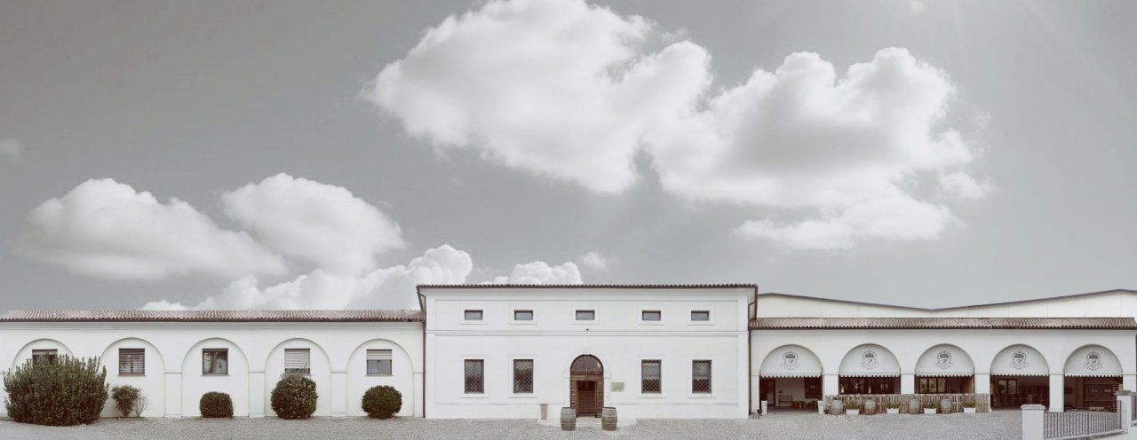 Casa Vinicola Garofoli winery image 2