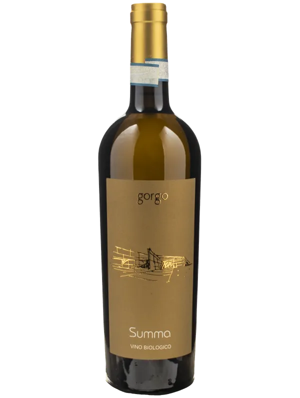 Gorgo Bianco Custoza Superiore Summa
