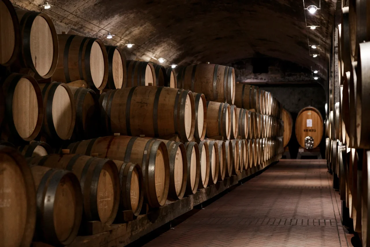 Classico tour and tasting at Isole e Olena