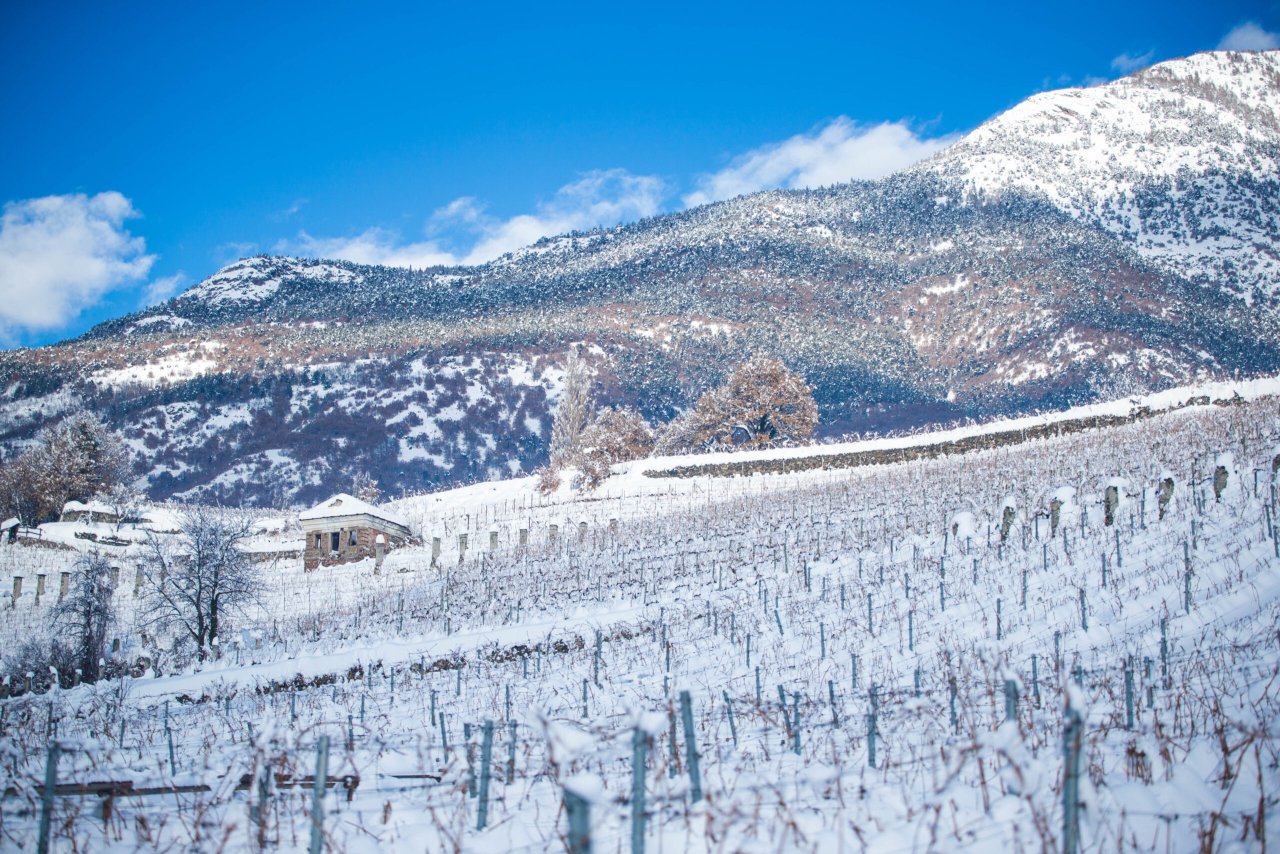 Grosjean winery image 1