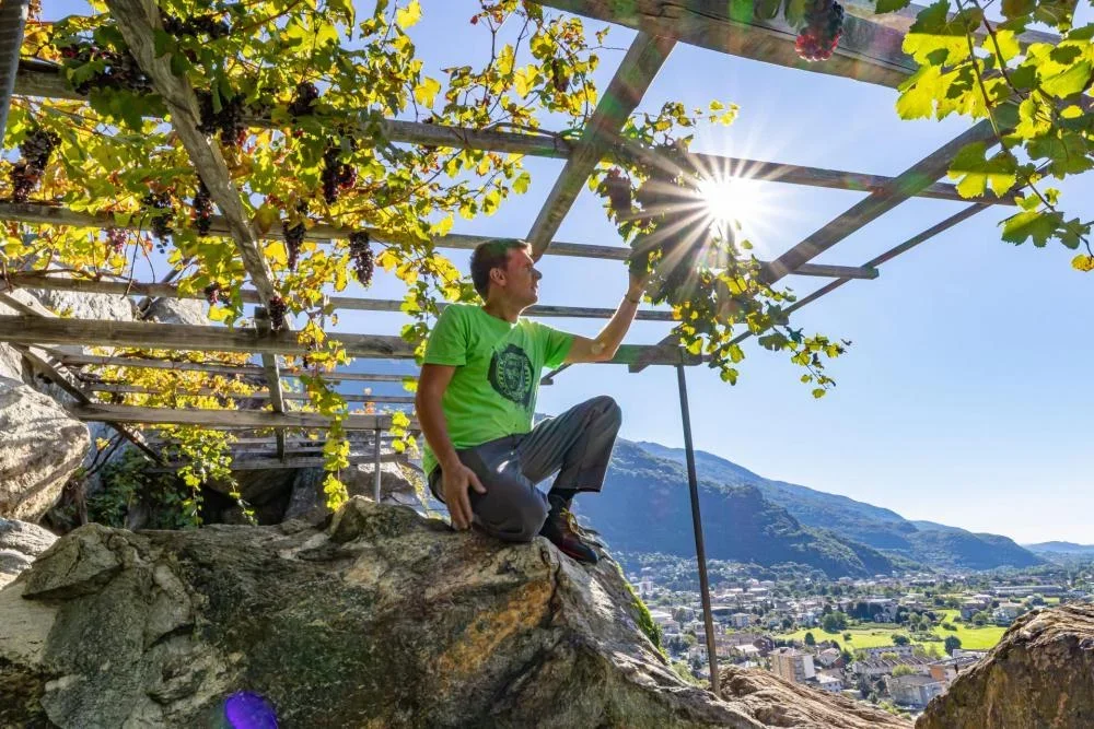 Vineyard & Cellar Wine Experience in the Aosta Valley at Grosjean Vins at Grosjean