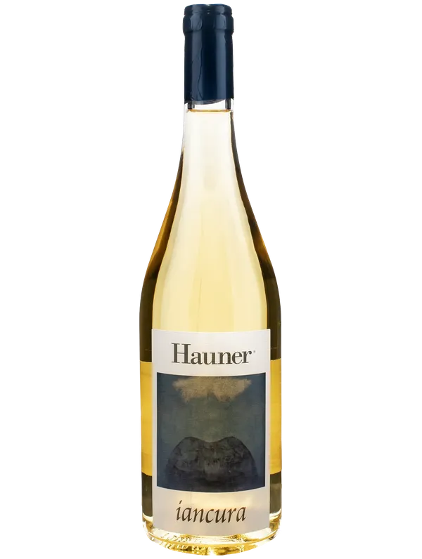 Hauner Hauner Iancura 2025