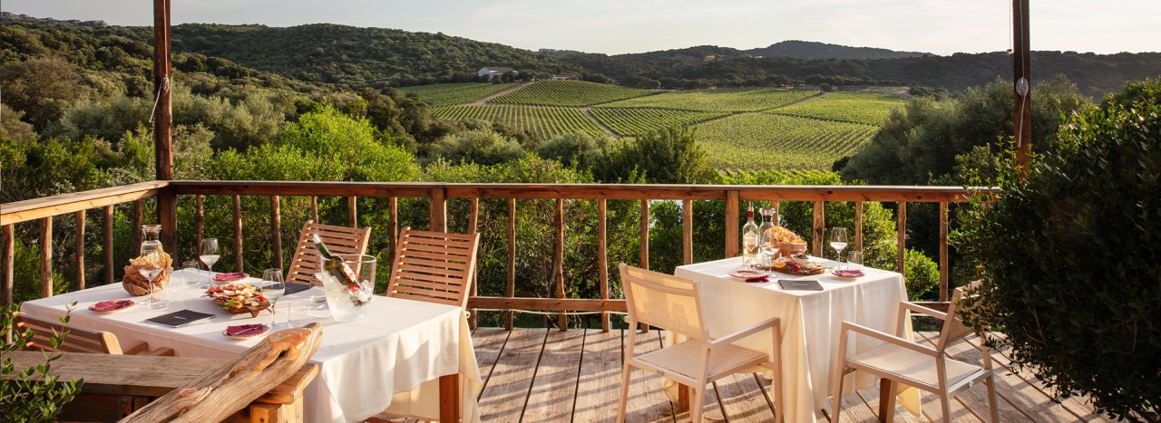 Classic Wine Tasting at Capichera