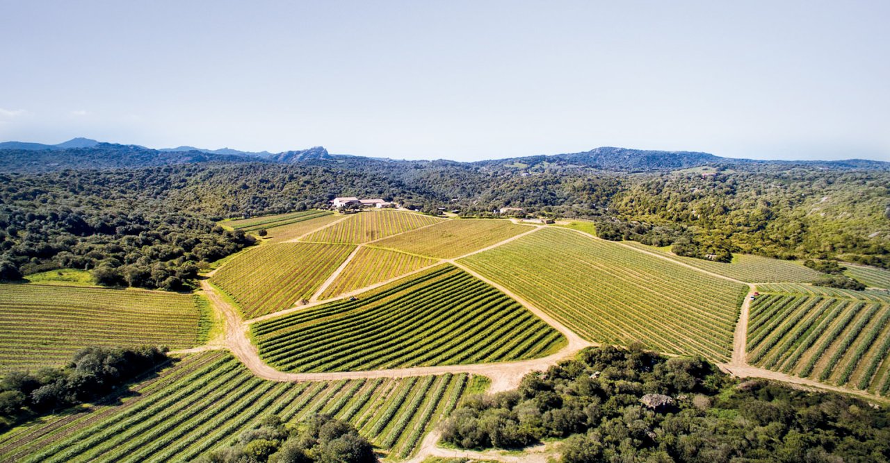 Capichera winery image 3