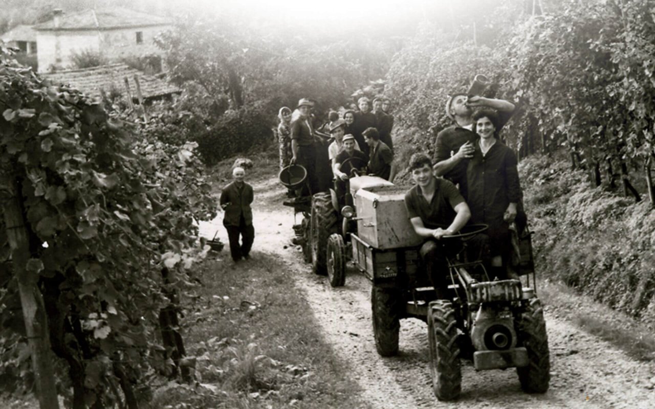 An old black-and-white photograph from the Follador archive: harvest workers riding a tractor and trailer down a lane between vines