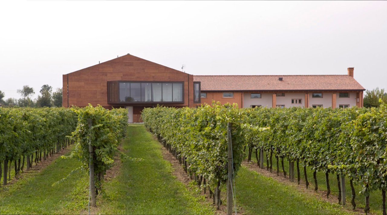 The 47 Anno Domini winery at Roncade, a modern building with a glass front, seen across green vine rows