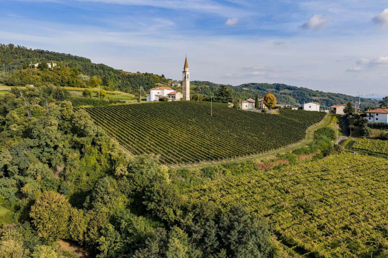 Pasqua Vigneti e Cantine winery image 1