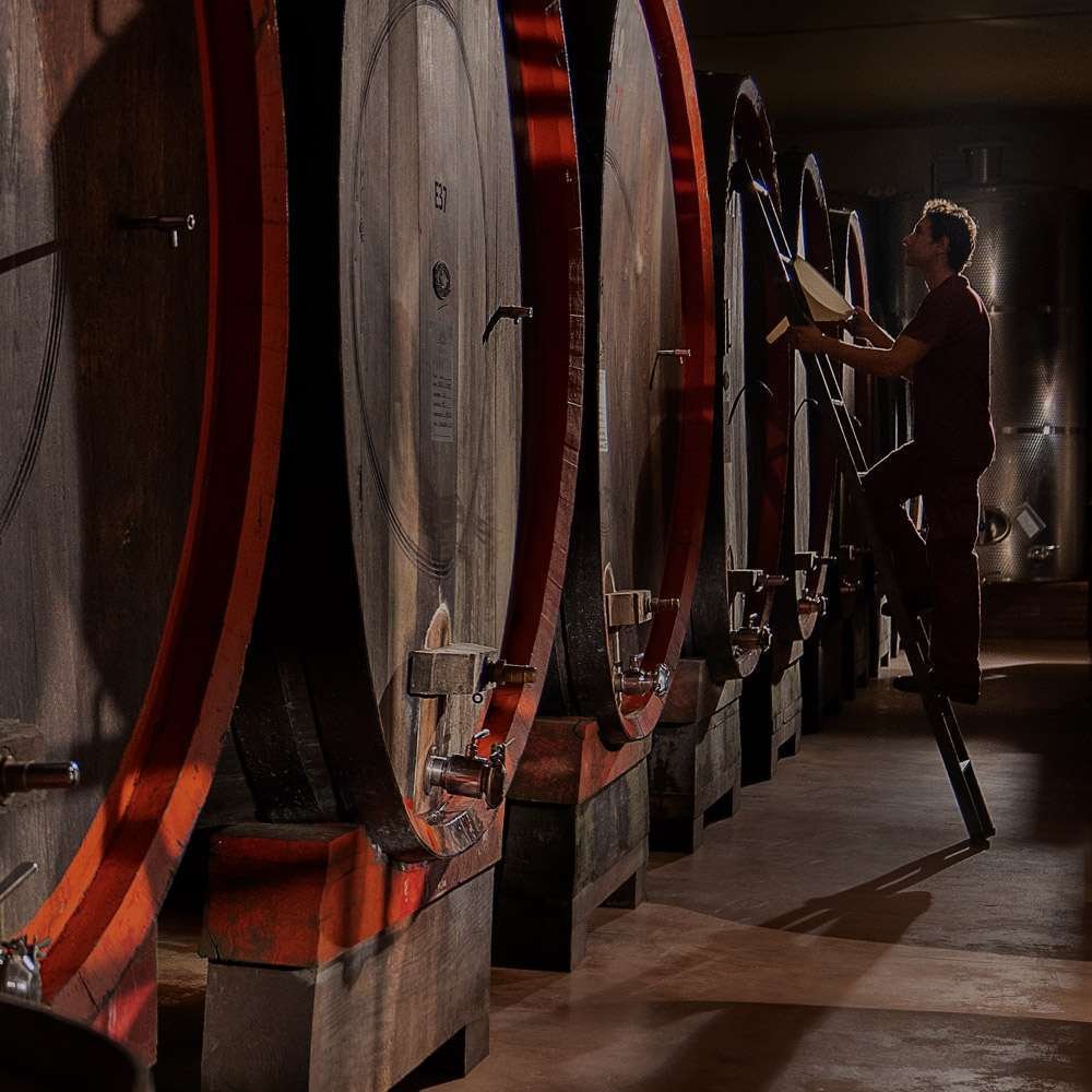Large oak barrels in the Roberto Sarotto ageing cellar, with a worker on a ladder beside one of them