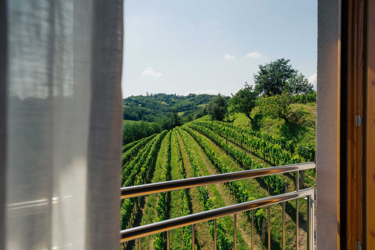 Azienda Agricola Radikon Stanislao winery image 5