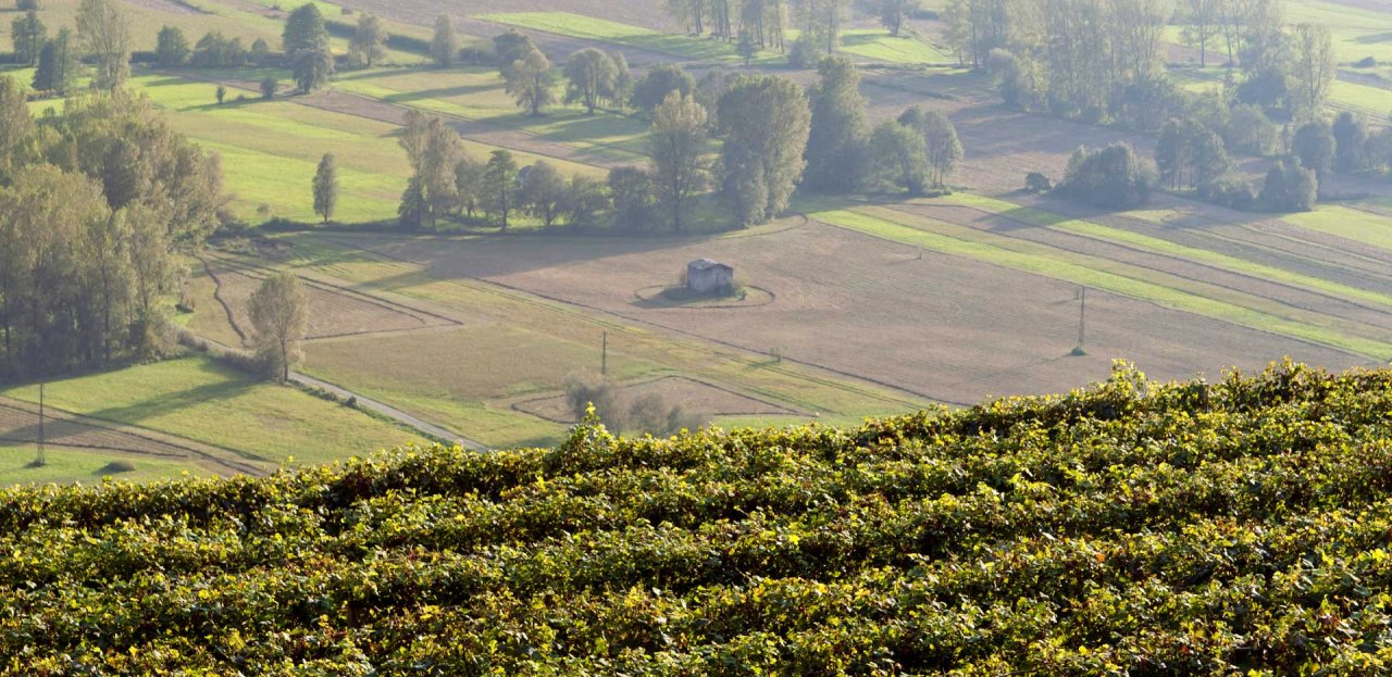 Sandro Fay winery image 2