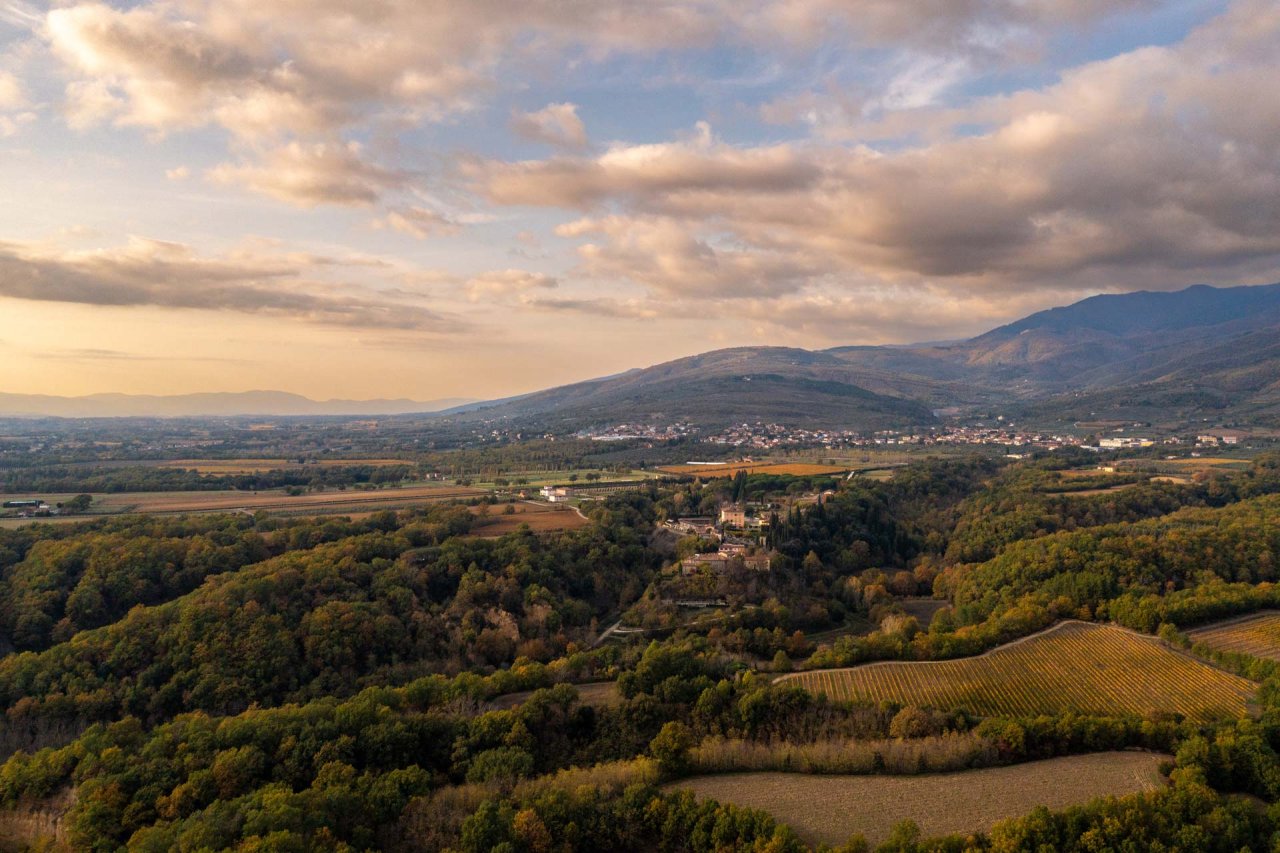 Tenuta Sette Ponti winery image 1