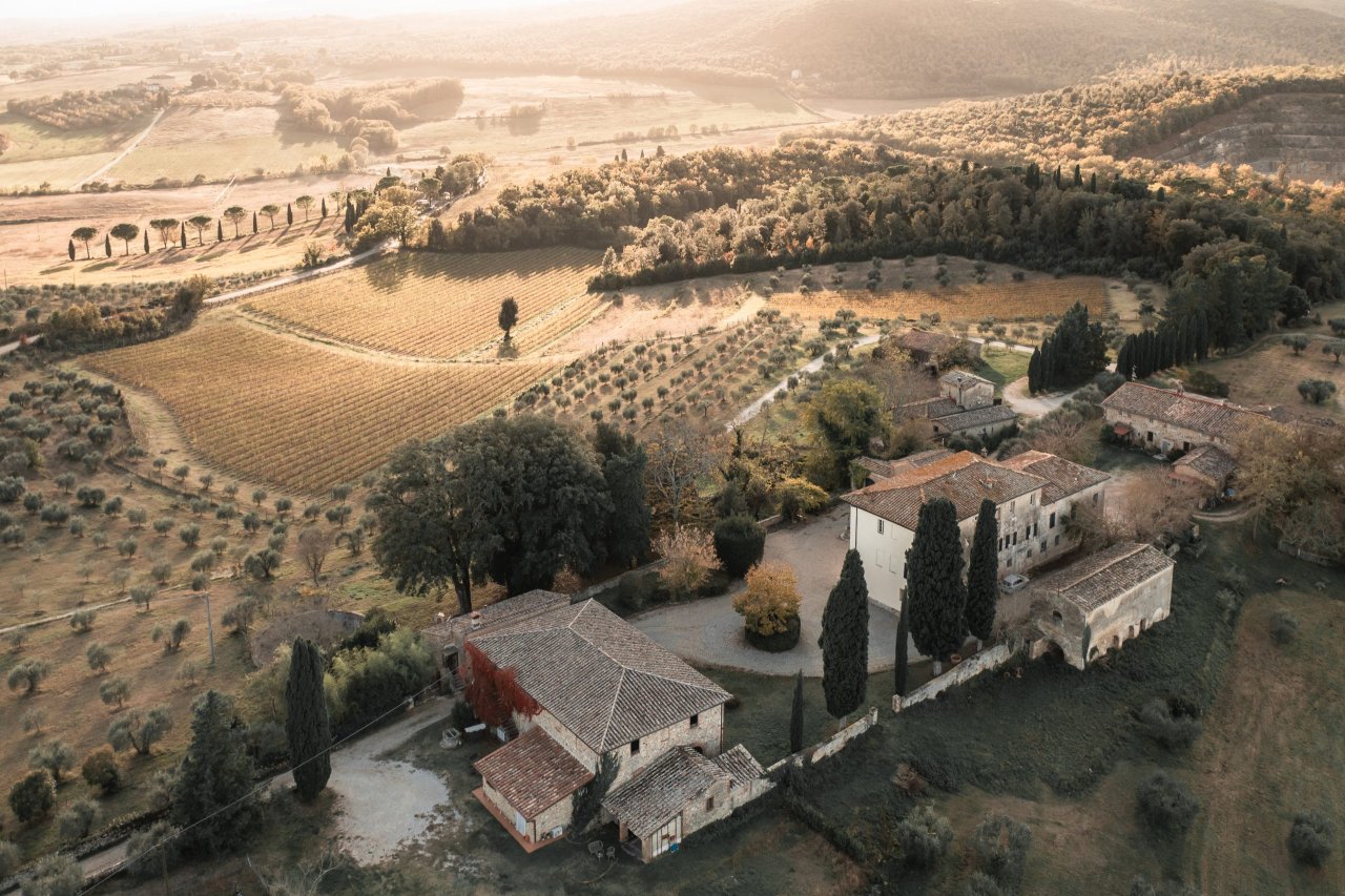 Bindi Sergardi winery image 4