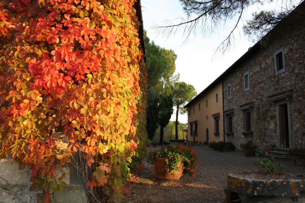 Castello dei Rampolla winery image 1