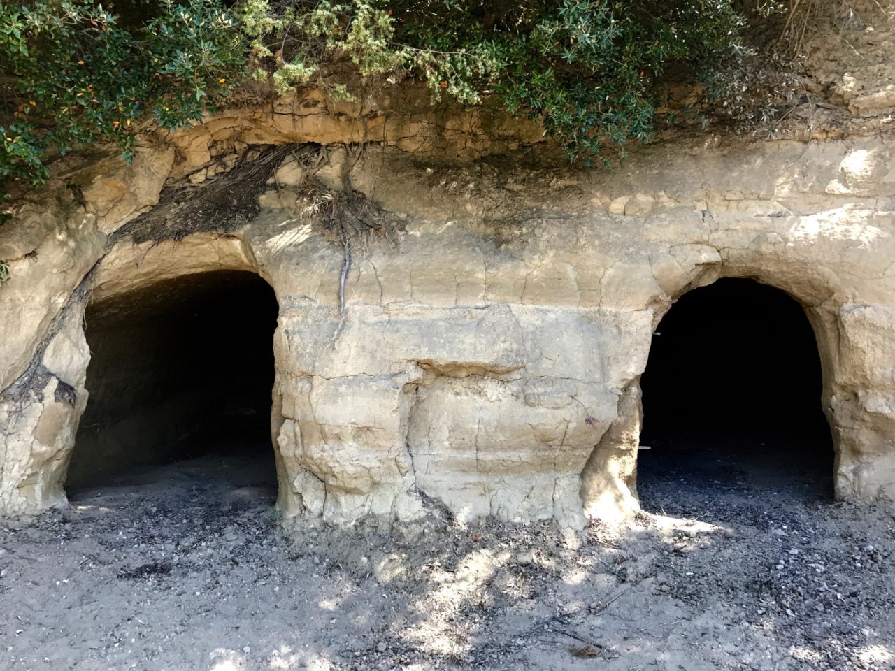 Desco Etrusco: the Etruscan caves walk with four wines and four dishes at Tenuta Vitalonga
