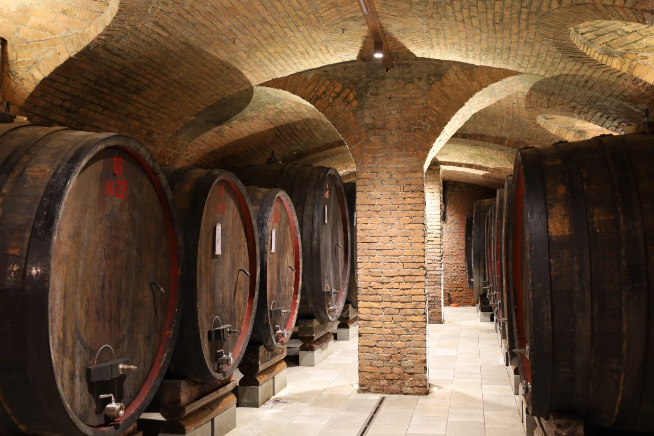 Large old oak casks in the vaulted brick ageing cellar at Poderi Marcarini