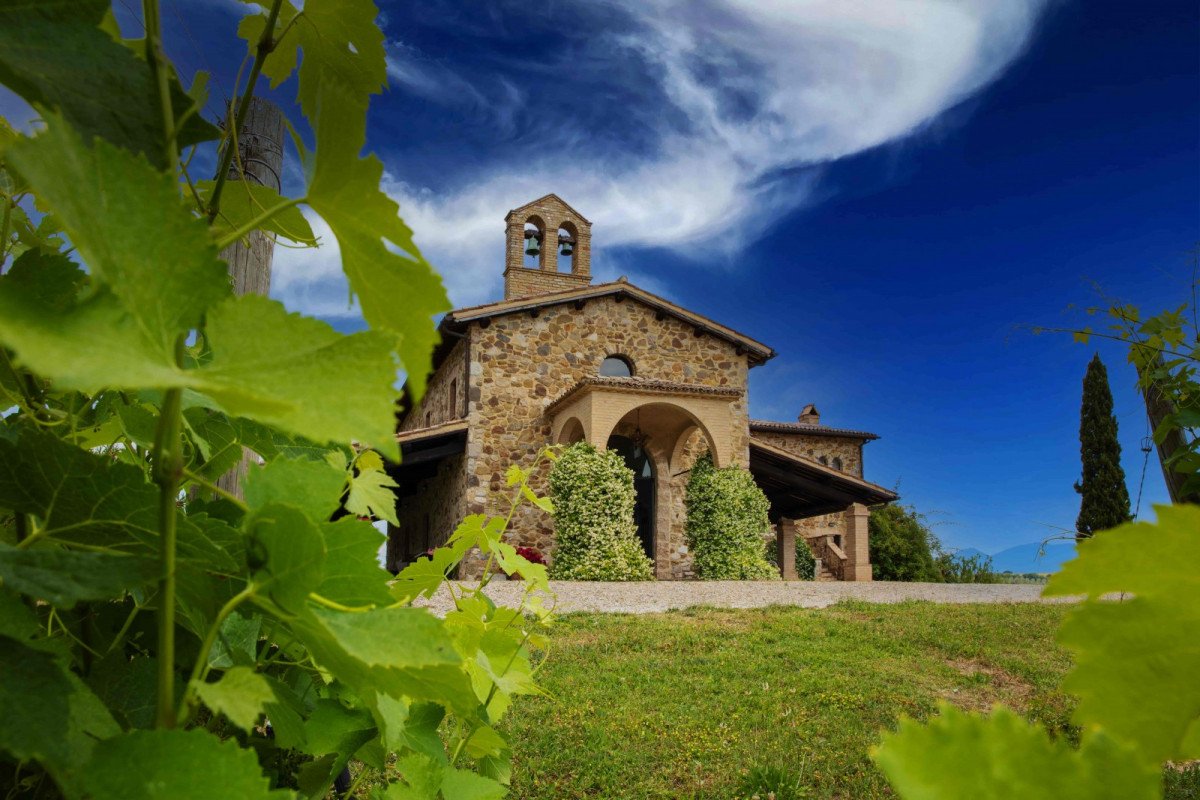 The former church of Santa Maria di Decugnano at Decugnano dei Barbi, seen through vine leaves under a blue sky