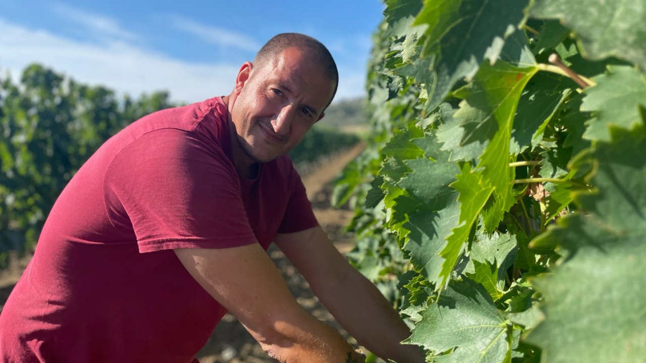 Ridolfi winery image 5
