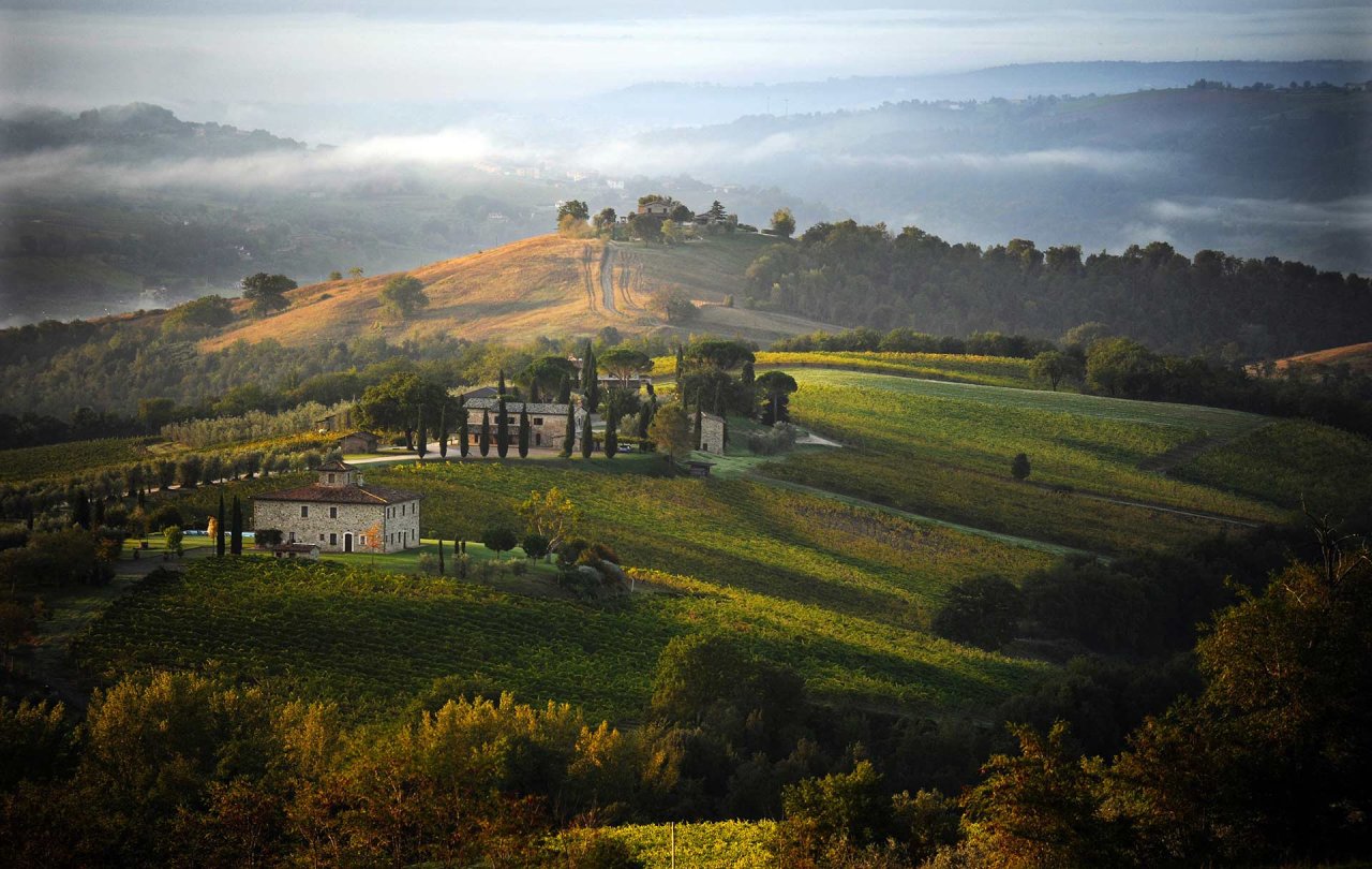 Vineyards, cypresses and stone buildings on the hills at Decugnano dei Barbi, with mist lying in the valleys beyond