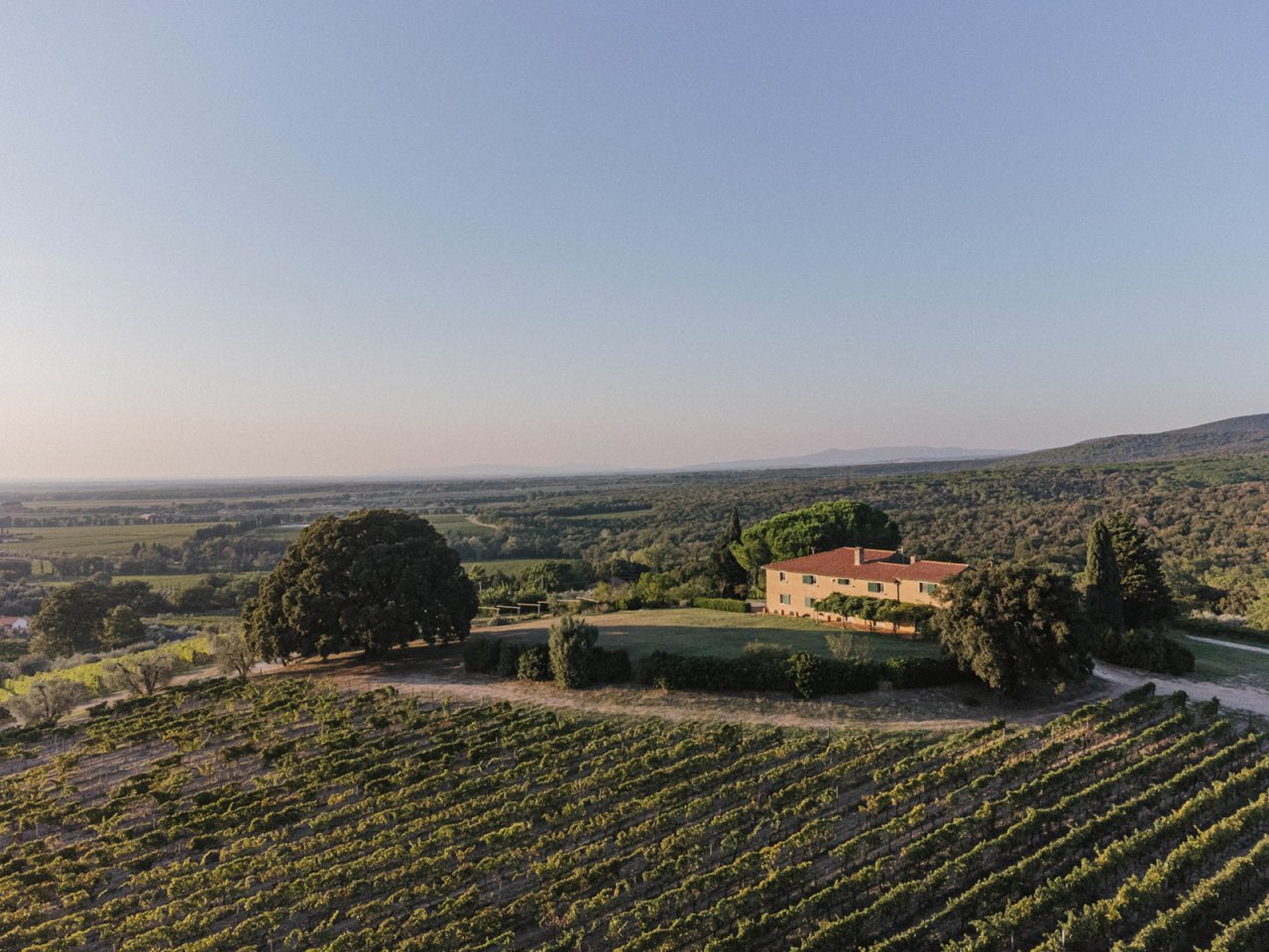 Grattamacco winery image 1