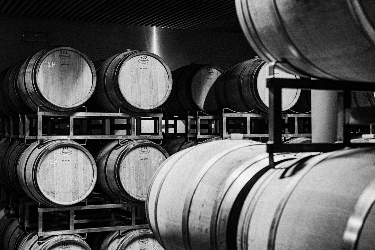 Estate tour and tasting at Grattamacco