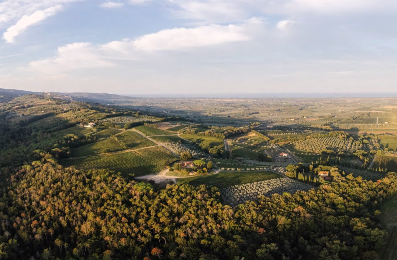 Grattamacco winery image 2